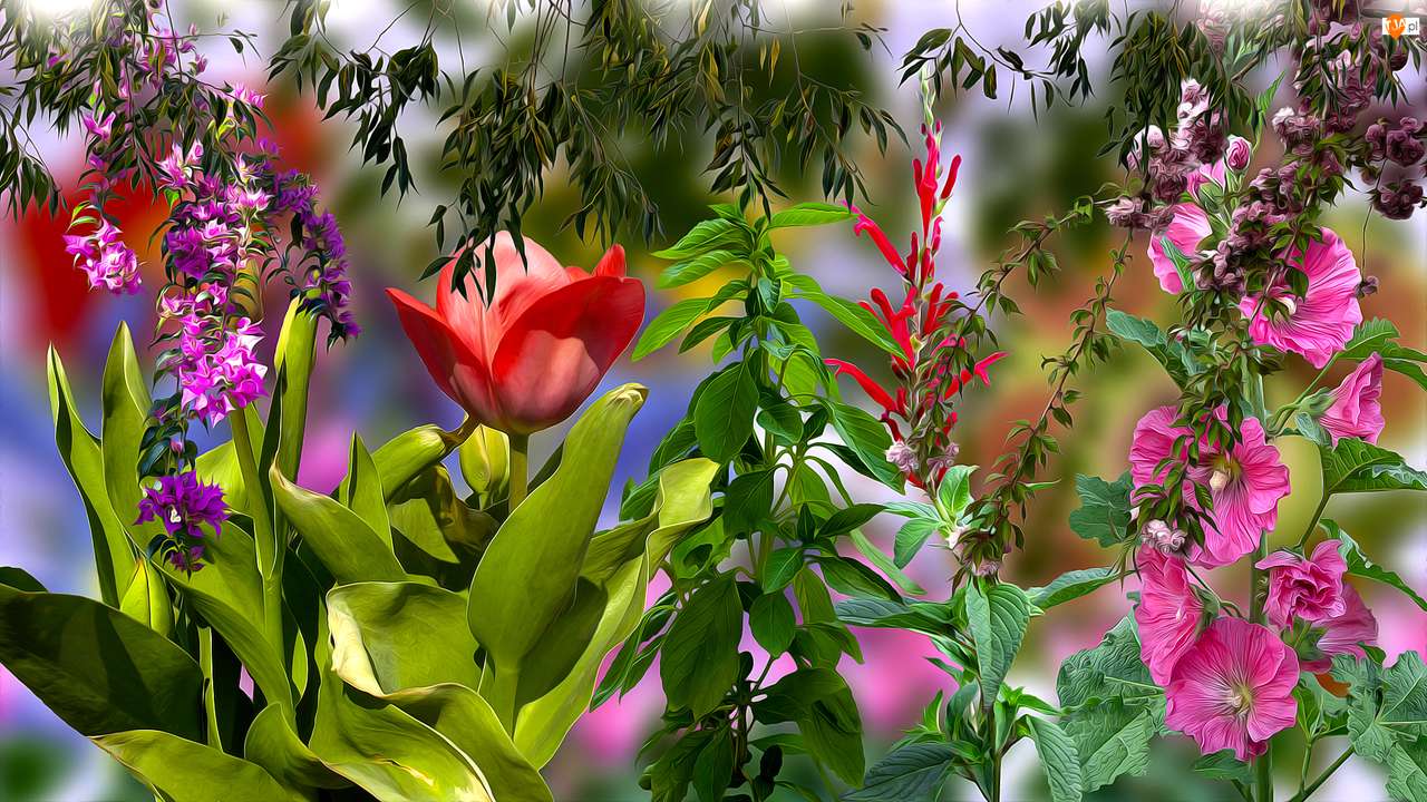 tulipano, malva ecc. puzzle online