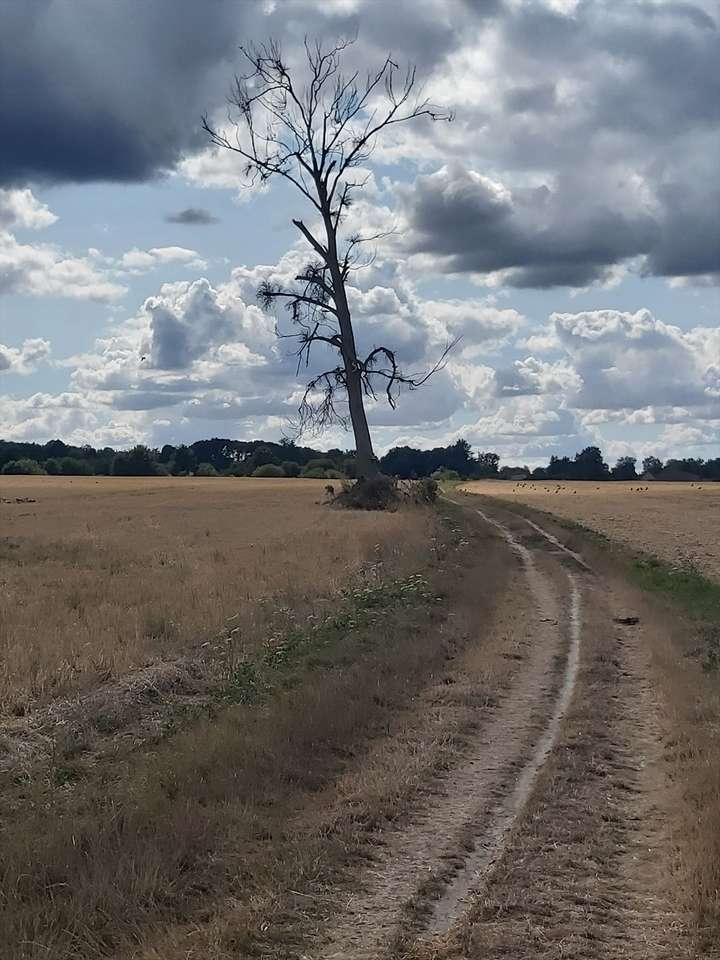 Самотнє дерево онлайн пазл