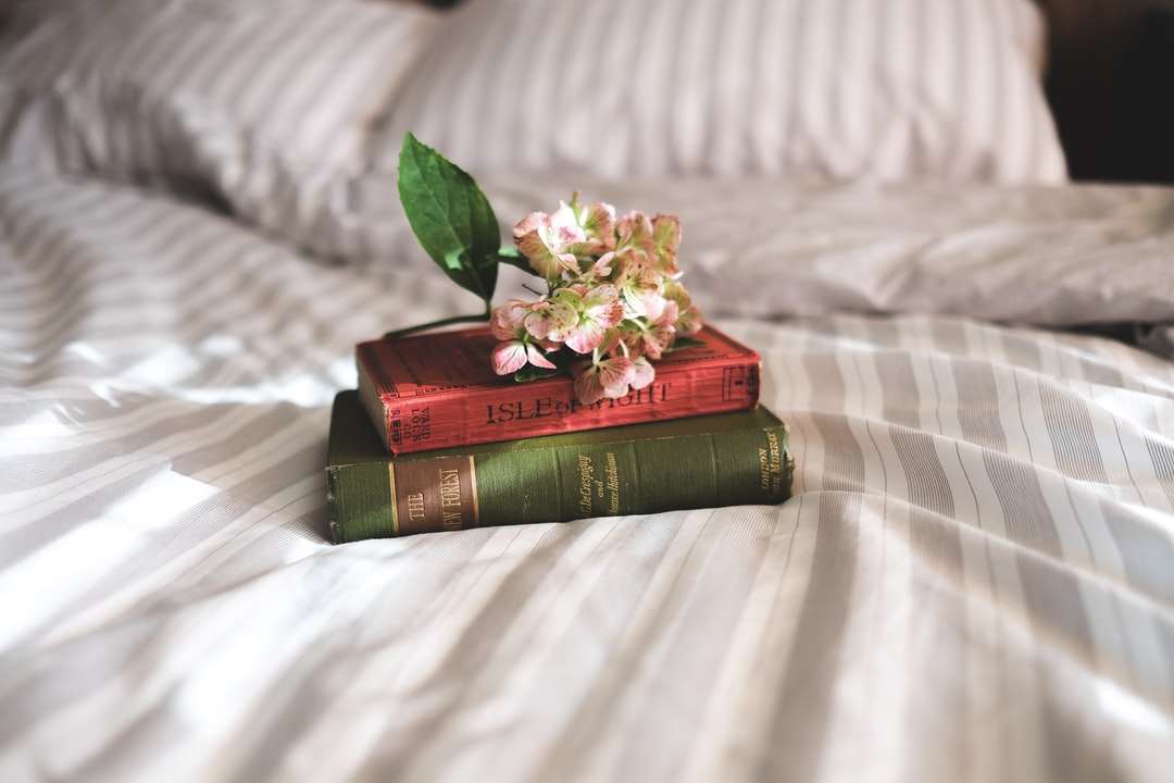 δύο βιβλία στο κρεβάτι online παζλ