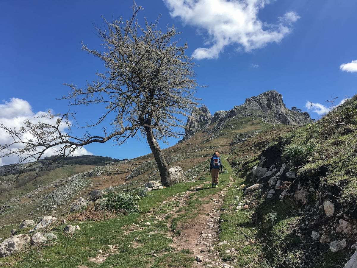 Πεζοπορία στα βουνά Peloritani στη Σικελία παζλ online