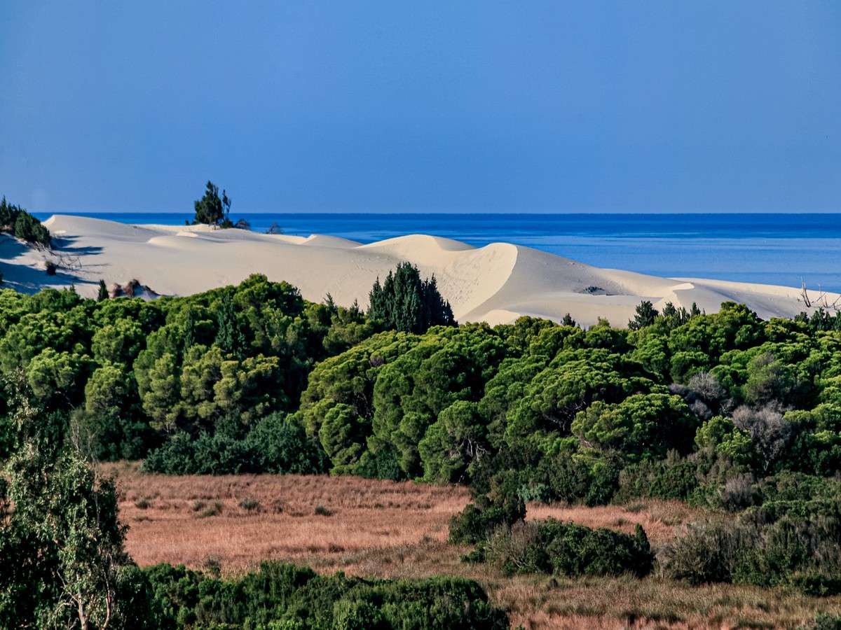 Dune di sabbia di Guspini in Sardegna puzzle online