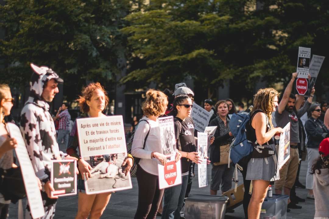 Ein Protest, den ich 2017 dokumentiert habe. Online-Puzzle