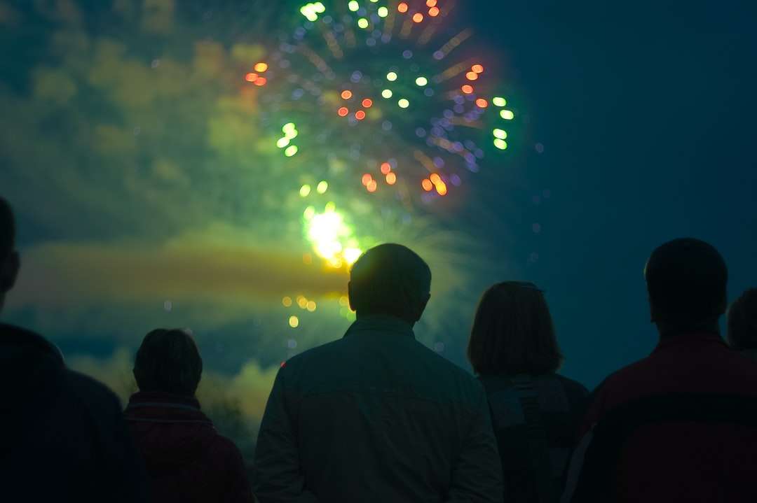 Group watching fireworks jigsaw puzzle online