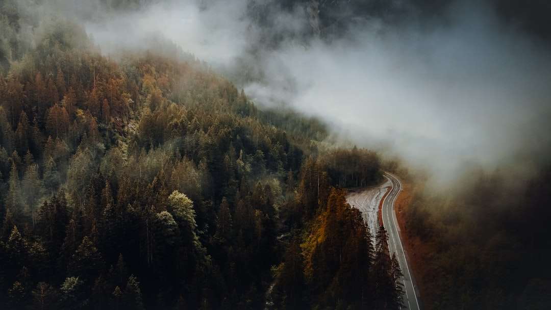 Moody Autumn vibes in Austria. jigsaw puzzle online