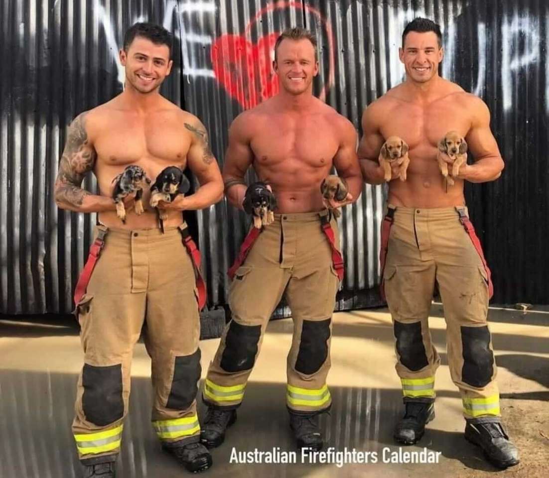Красиви пожарникари и мини дакели онлайн пъзел