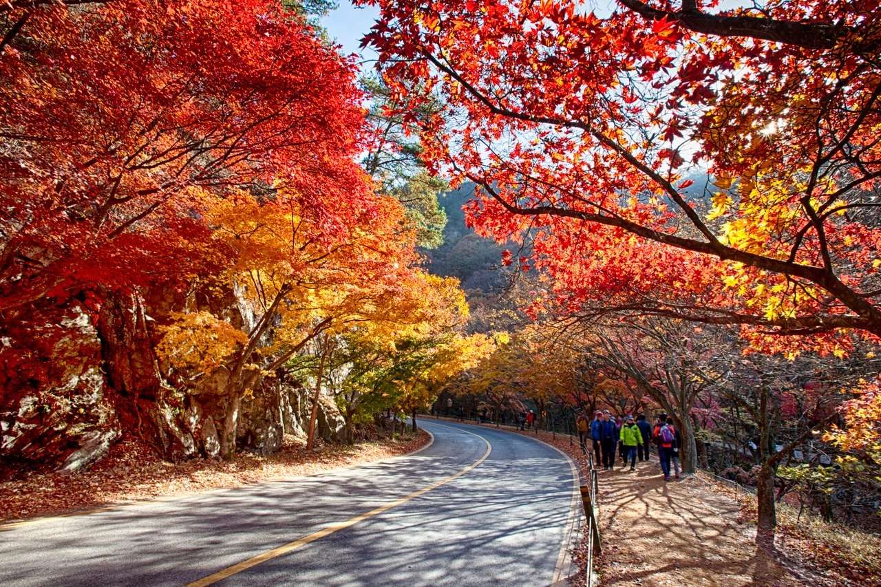 Осінь в Південній Кореї пазл онлайн