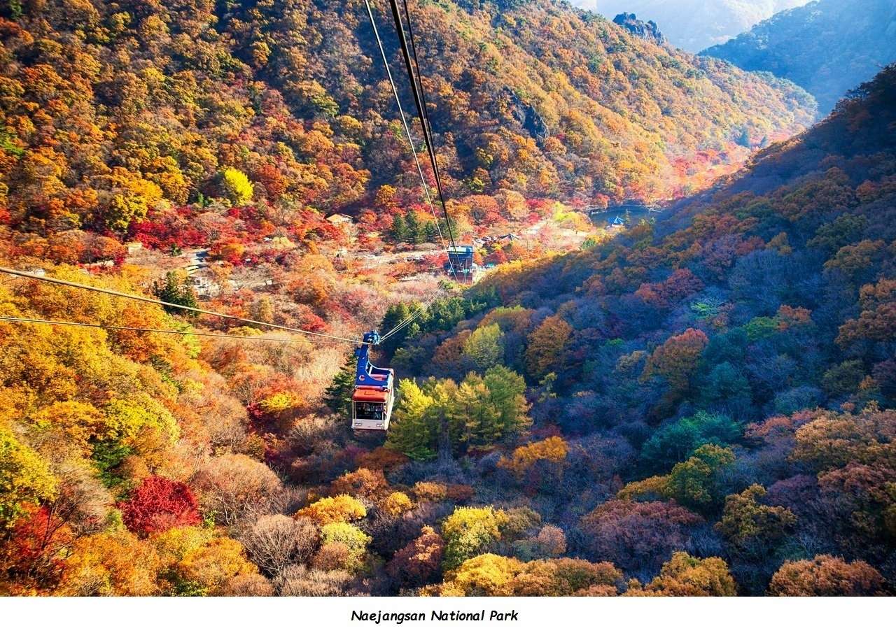 L'automne en Corée du sud puzzle en ligne