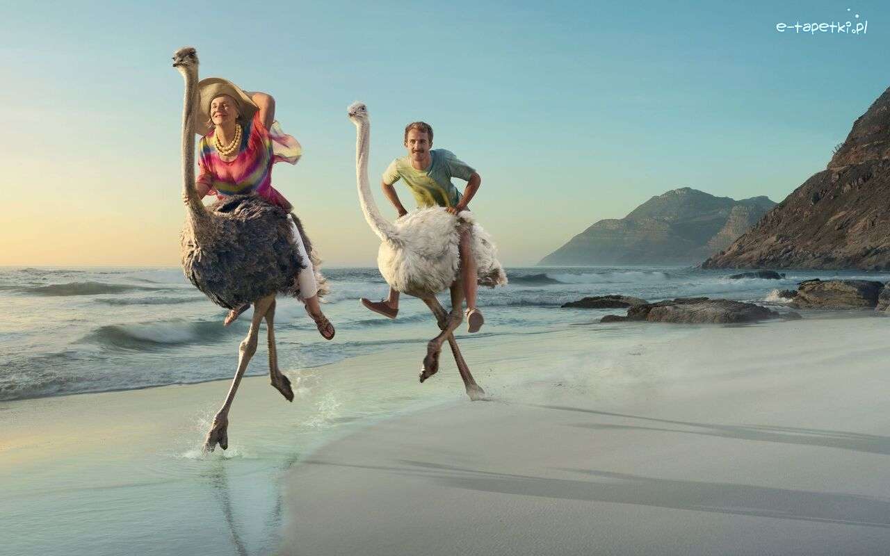 страус катается на пляже пазл онлайн