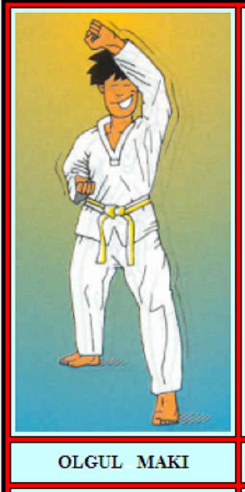 Taekwondo Olgul Maki puzzle en ligne