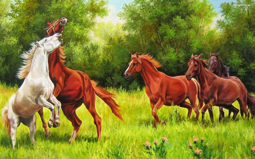 caballos en el prado rompecabezas en línea
