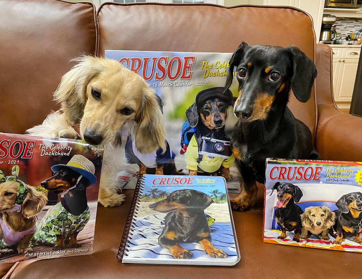 Daphne and Crusoe online puzzle