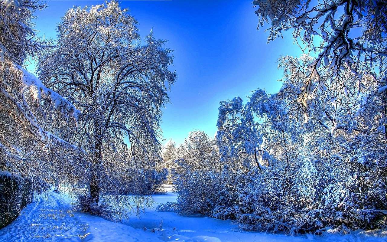 Foresta in abito invernale puzzle online