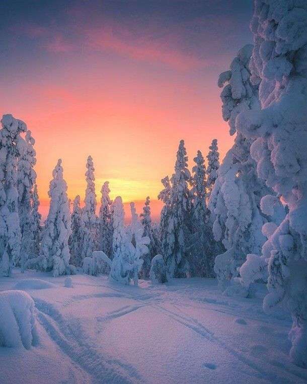 Paysage d'hiver et coucher de soleil puzzle en ligne