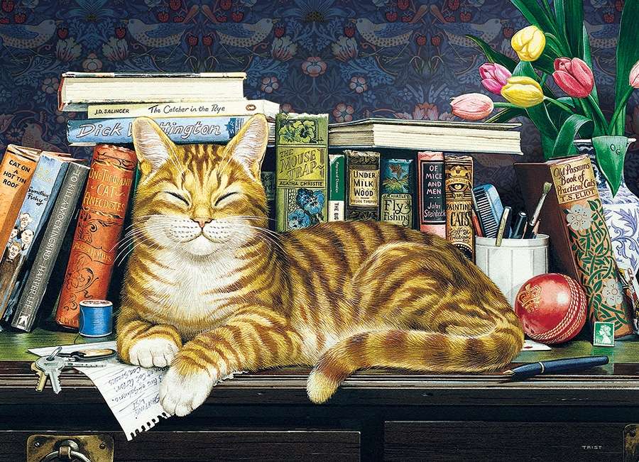 Katze auf einem Bücherregal Puzzlespiel online