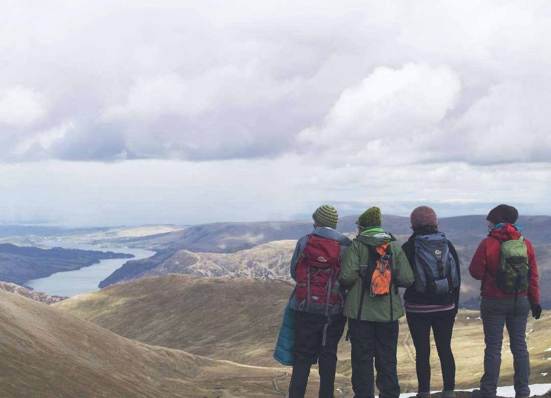 τέσσερα άτομα που στέκονται κοιτάζοντας τη θέα στο βουνό online παζλ