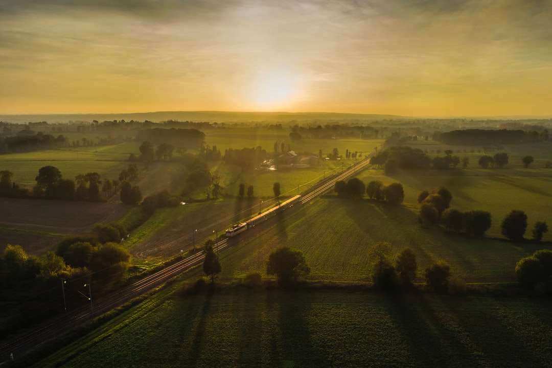 Flygfoto över vägen mellan fältet för grönt gräs under dagtid Pussel online