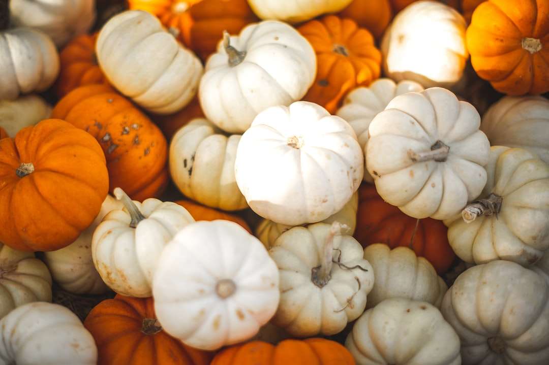 Pick-a-Pumpkin kirakós online