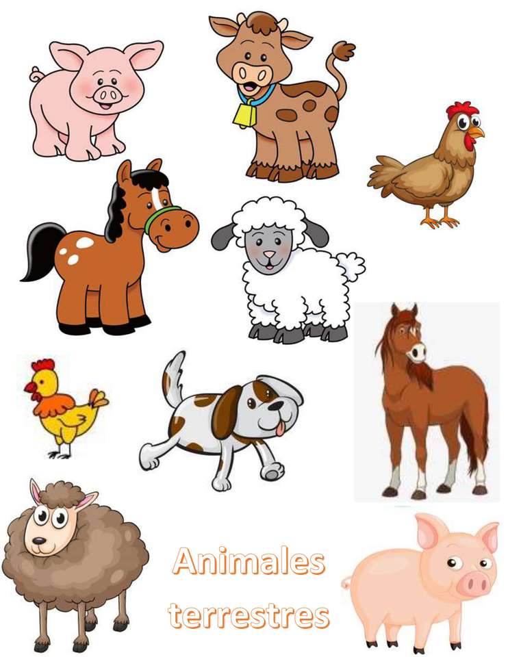 Szárazföldi állatok online puzzle