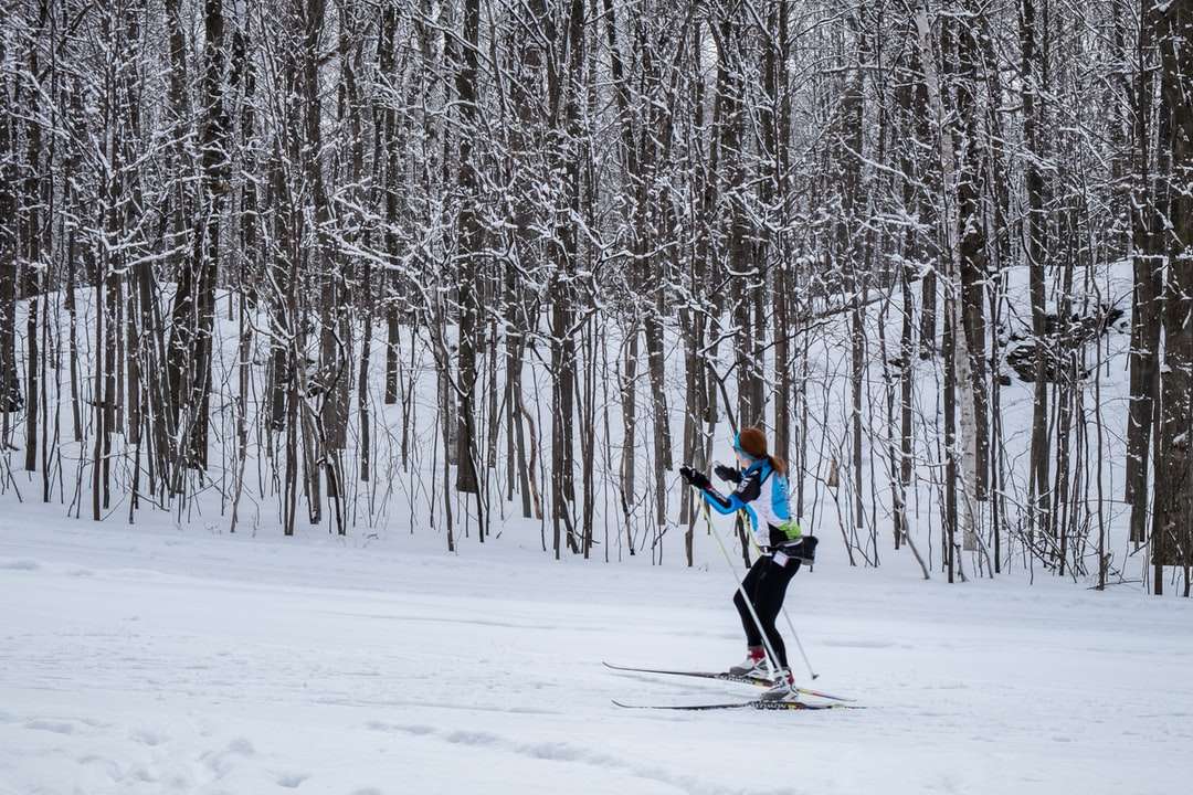 Ски бягане в националния парк Mont-Saint-Bruno, Квебек онлайн пъзел
