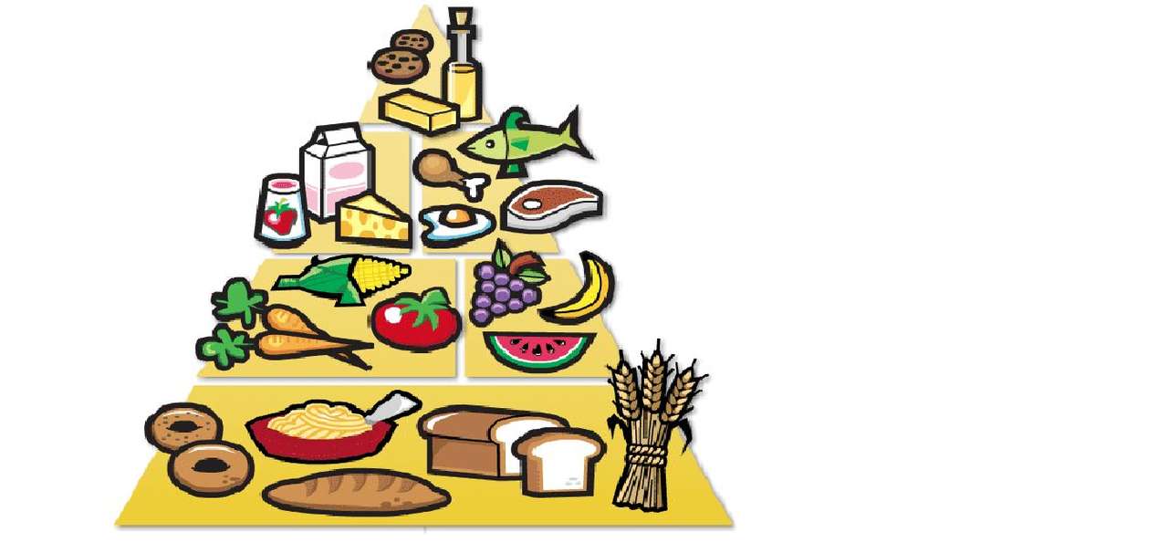 Хранителната пирамида онлайн пъзел