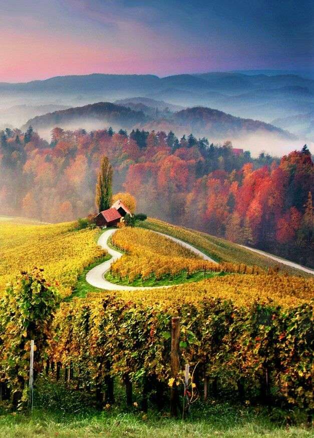 Wijngaarden in de herfst online puzzel