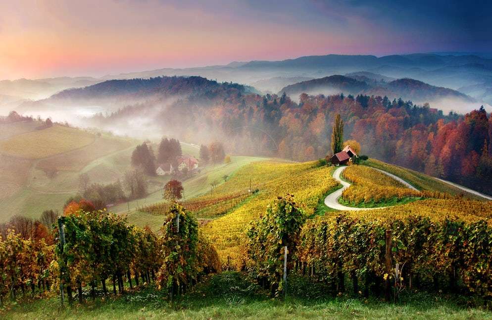 Wijngaarden in de herfst legpuzzel online