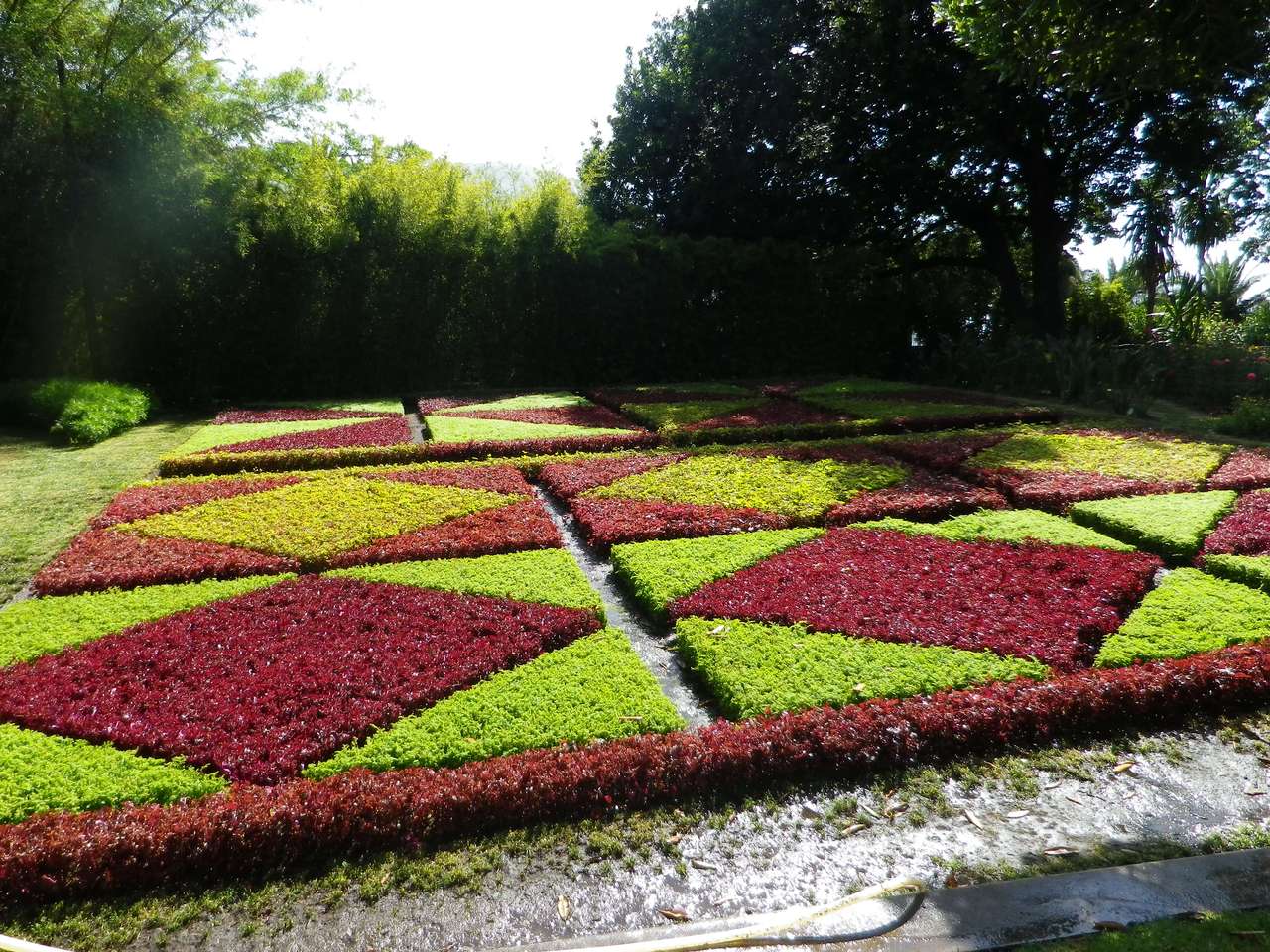 Grădina de top a funchalului jigsaw puzzle online
