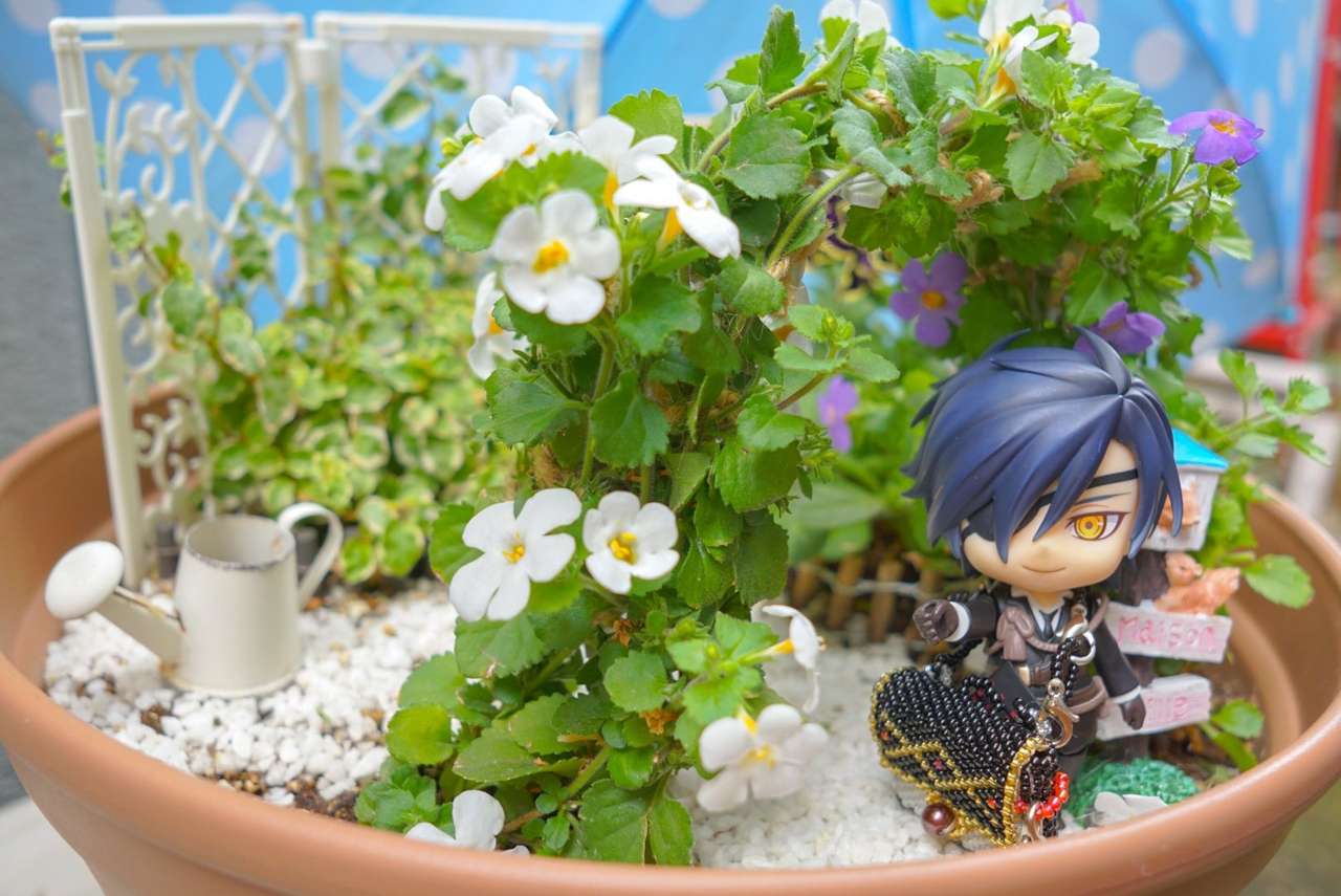 Mitsutada v květinách skládačky online