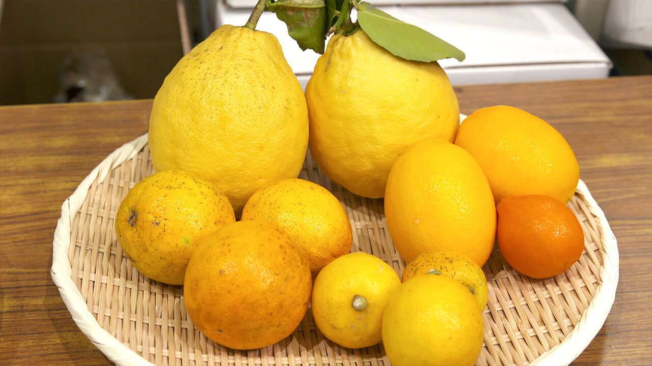 Tallrik med citroner Pussel online