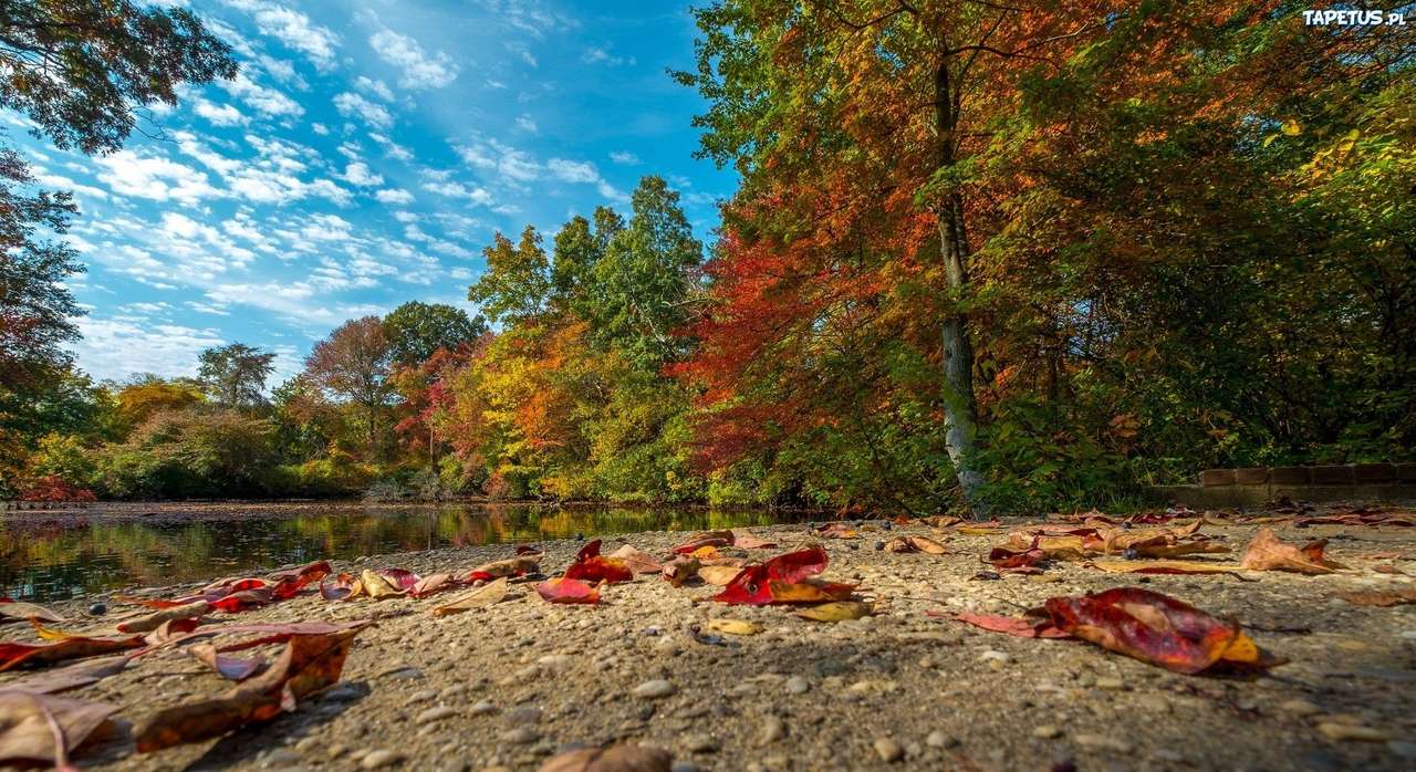 Podzim na řece. skládačky online