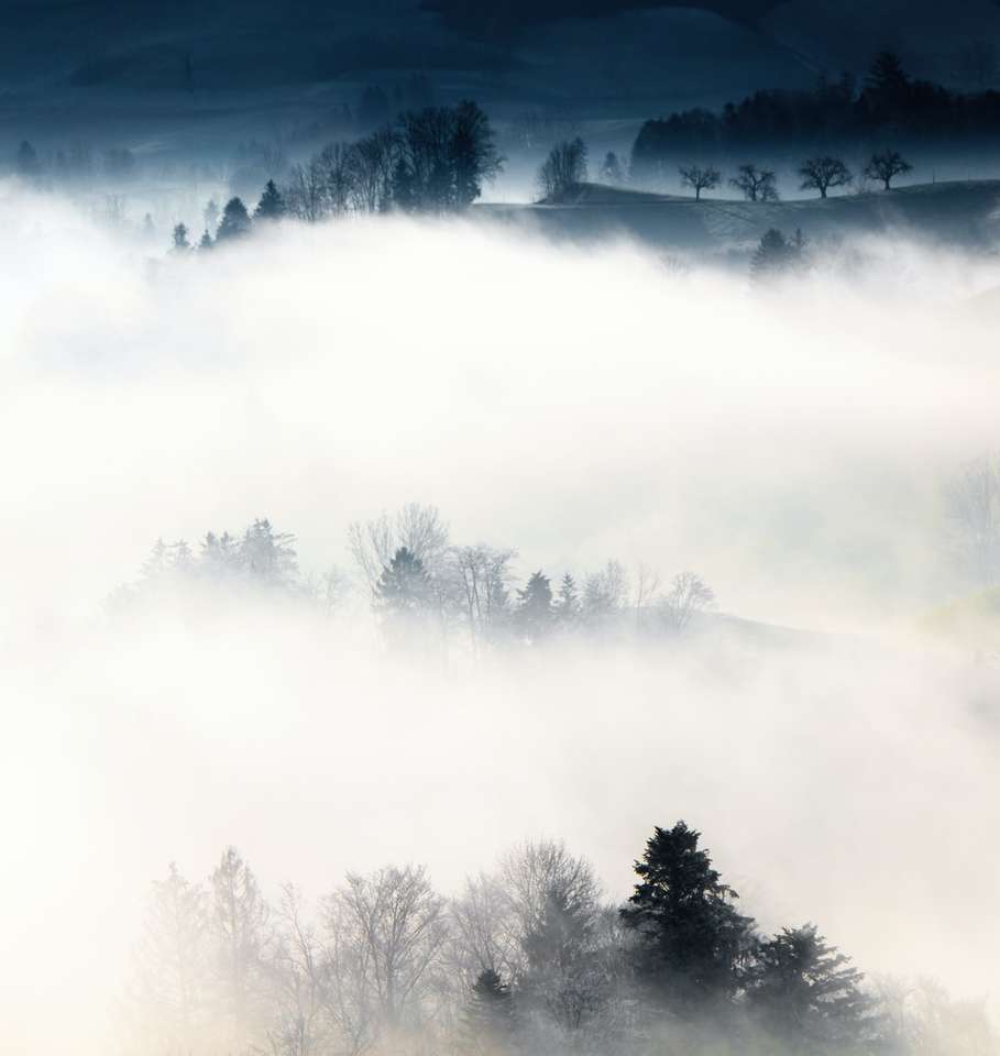 trees and fog jigsaw puzzle online