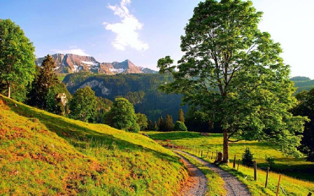 Schweiz skönhet. pussel på nätet