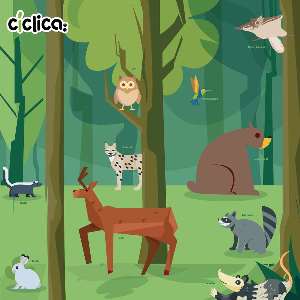 Ciklikus erdő online puzzle
