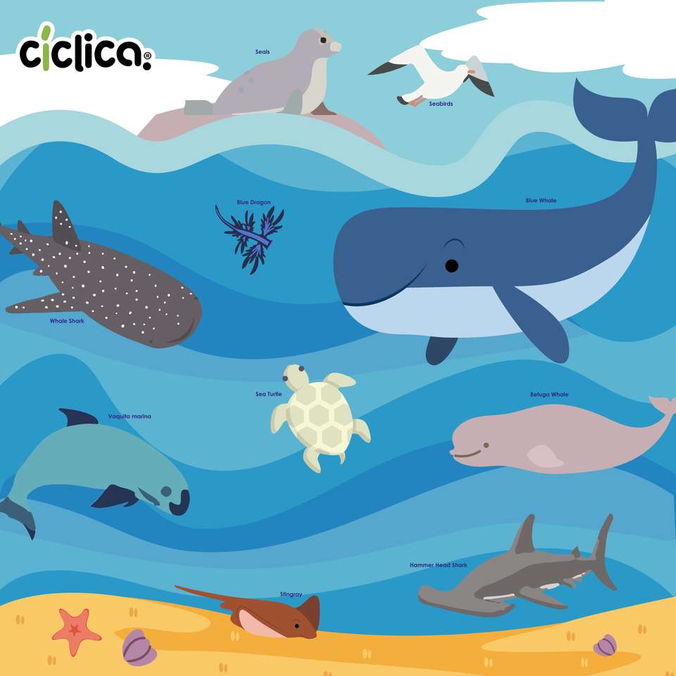 Oceano Cíclico puzzle online