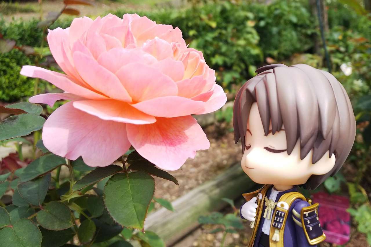 Hasebe loves flowers online puzzle