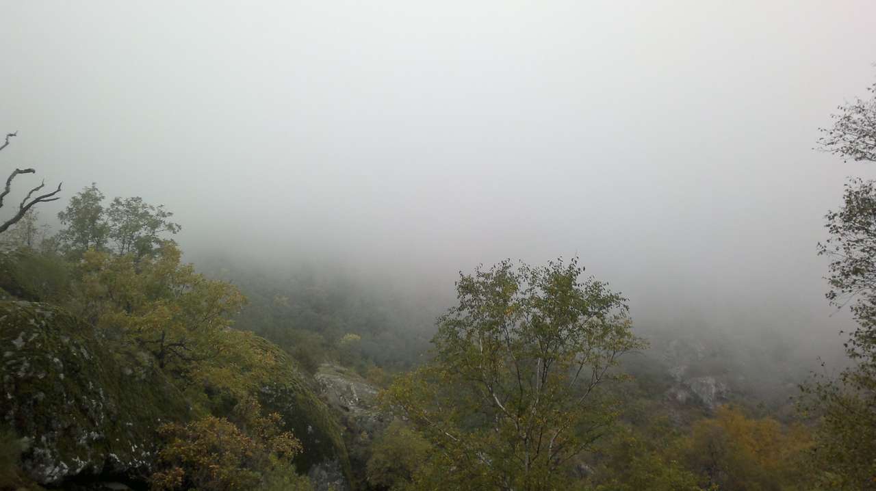 Fog in Sanabria. jigsaw puzzle online