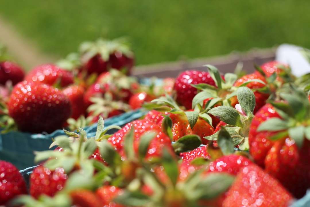 röda jordgubbar på rostfritt stålbricka Pussel online