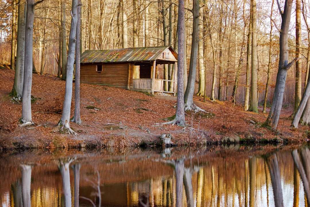 casa de madeira marrom perto de corpo d'água e árvores quebra-cabeças online