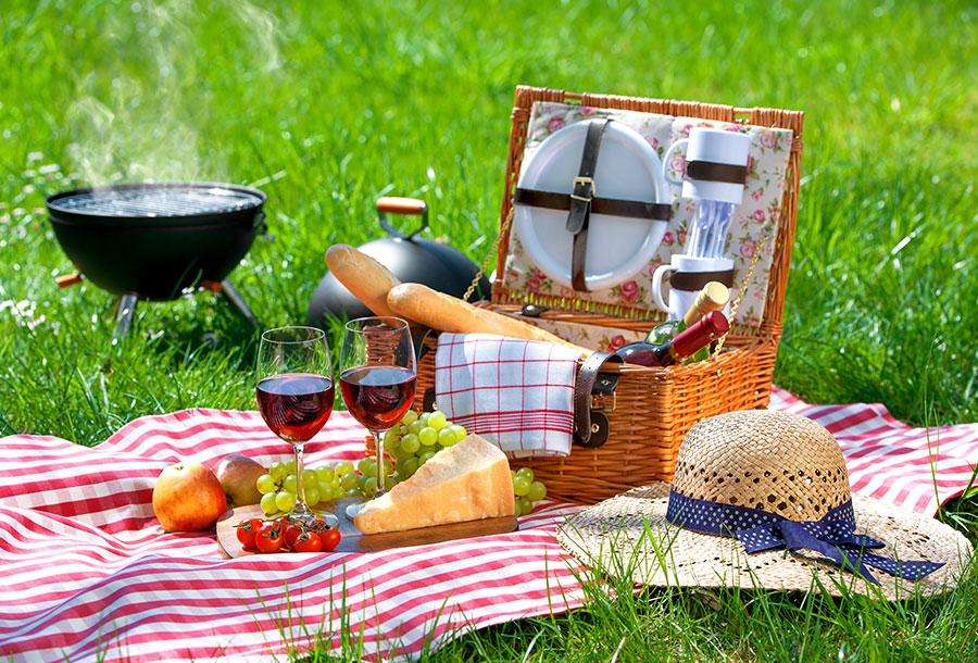 piknik na louce skládačky online
