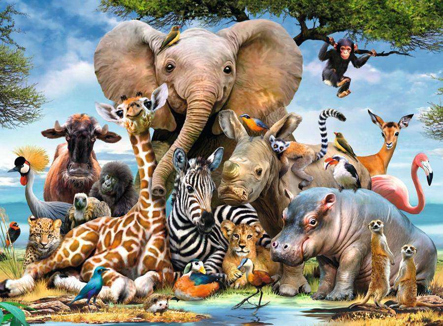 Αφρικανικά ζώα παζλ online