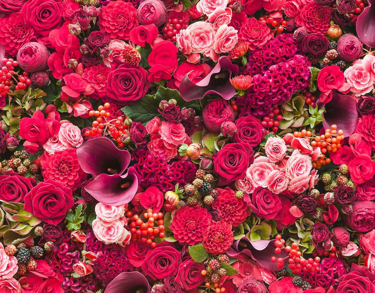 krásné červené a růžové růže онлайн пъзел