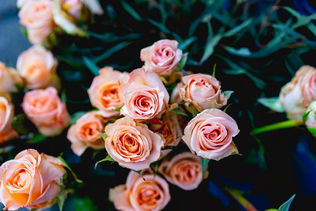 ροζ λουλούδια παζλ online