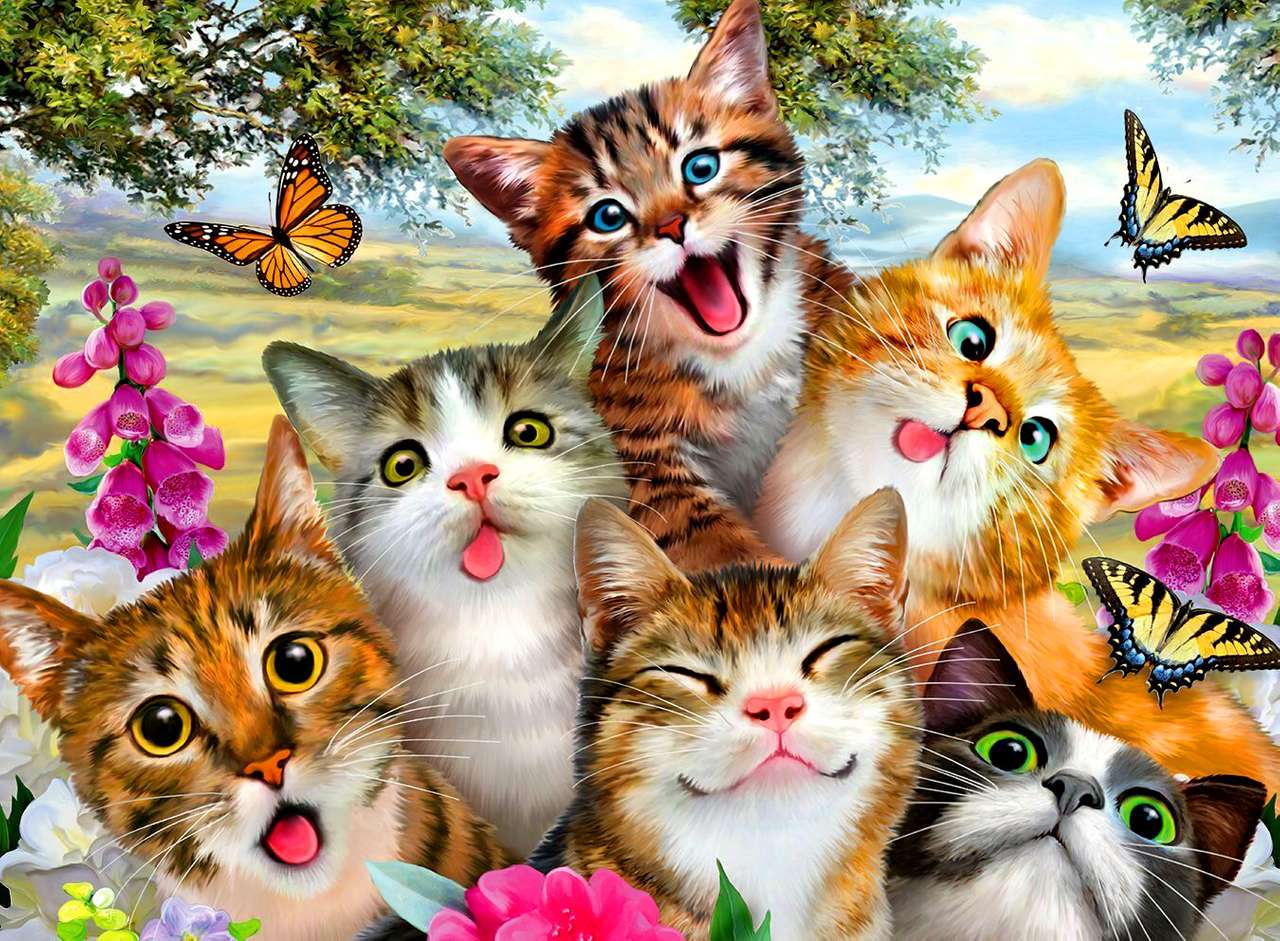 grappige katten online puzzel