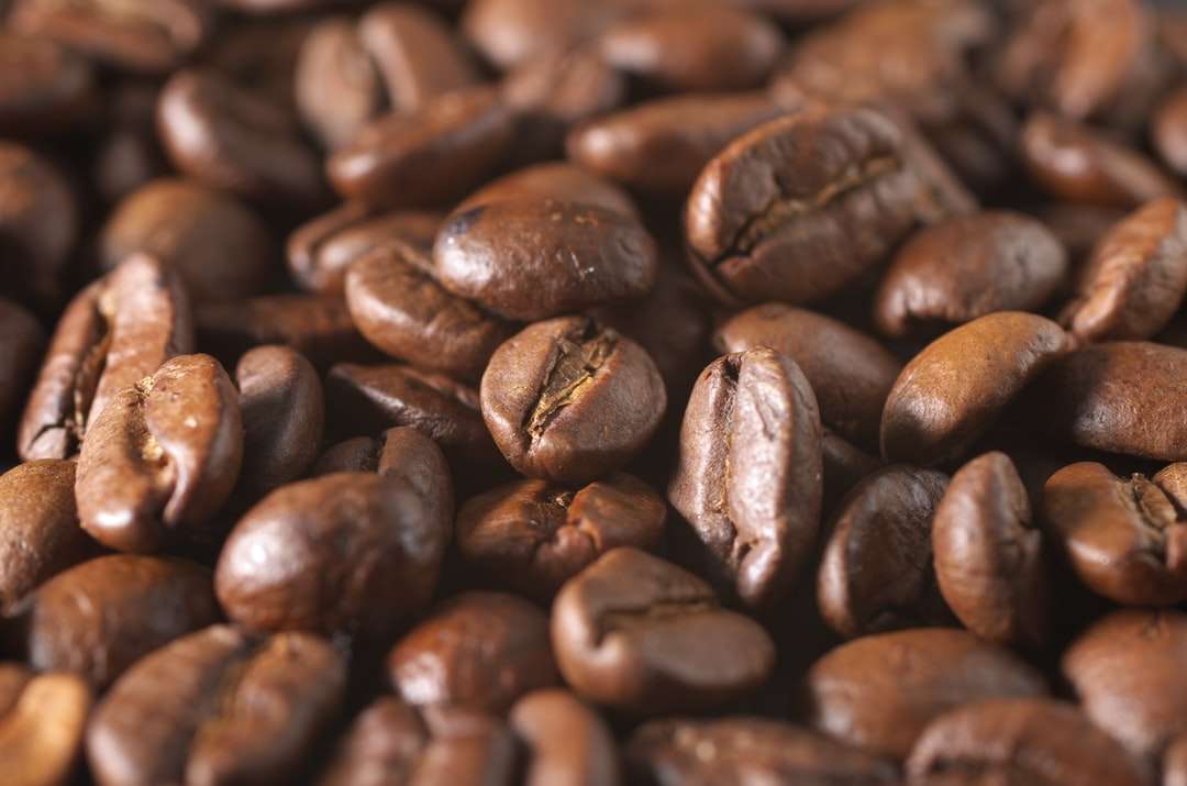 granos de café marrón rompecabezas en línea