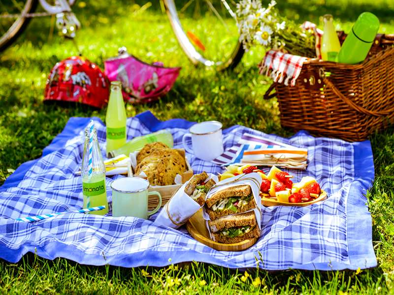 picnic nel prato puzzle online