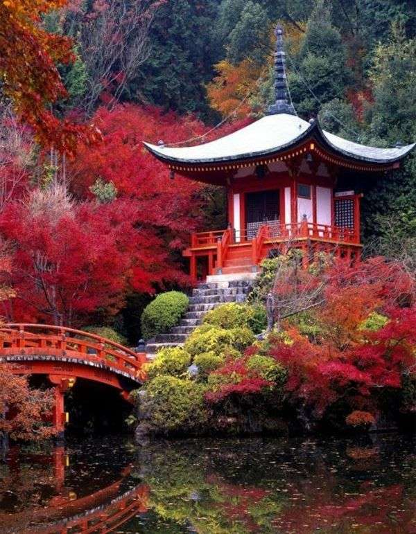 ponte giapponese, alberi in fiore puzzle online