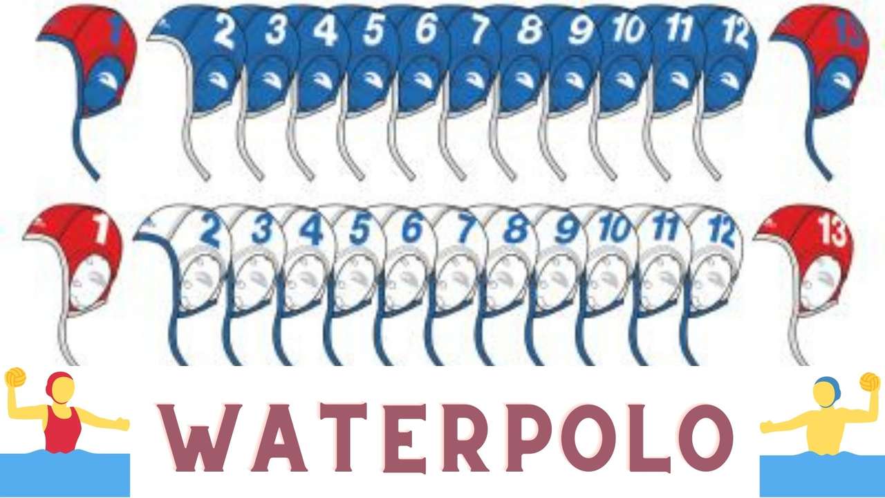 Water polo puzzle en ligne