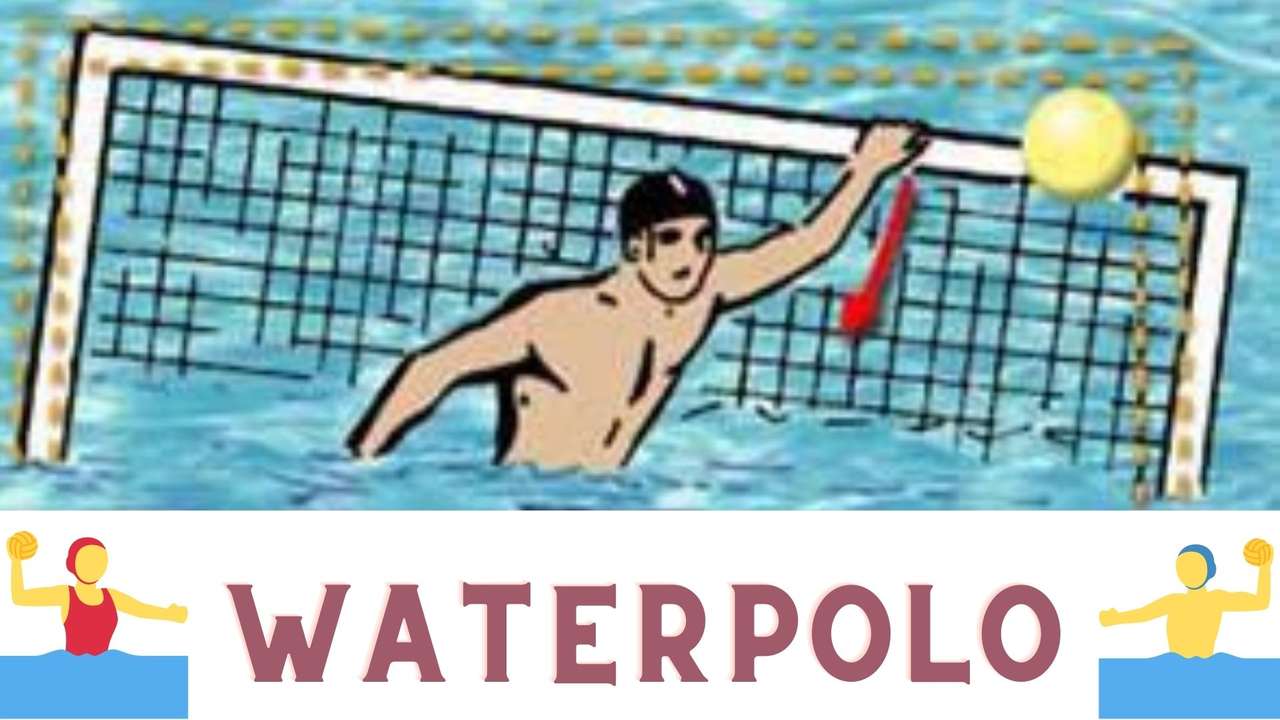 Water polo puzzle en ligne