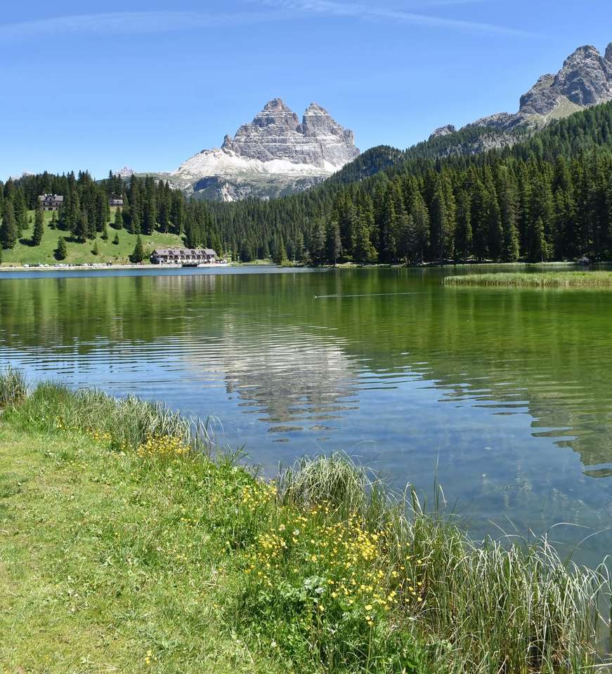 zelené stromy poblíž jezera a hory pod modrou oblohou skládačky online