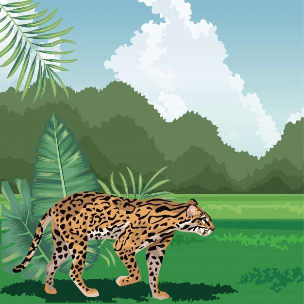 Ягуар: Амазонка онлайн пъзел